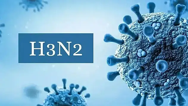 Mutasyona Uğramış H3N2 Grip Virüsü Türkiye'de Görülmeye Başladı