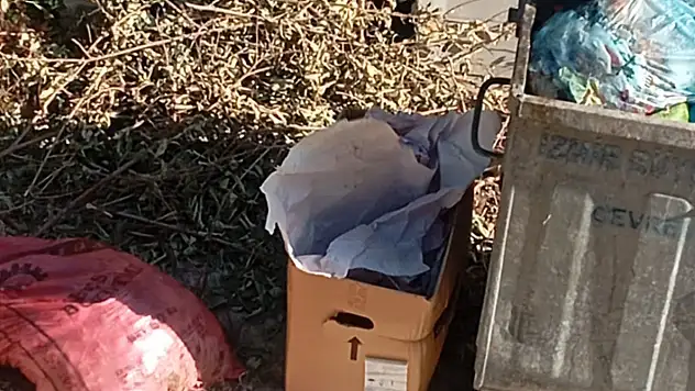 Ödemiş Bademli Mahallesi'nden Tepki: 'Çöpler Toplanmıyor, Sokaklar Pislik İçinde!'