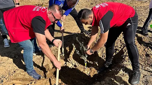 Ödemiş Gençlik Merkezi, Yangın Bölgesinde Fidan Dikti