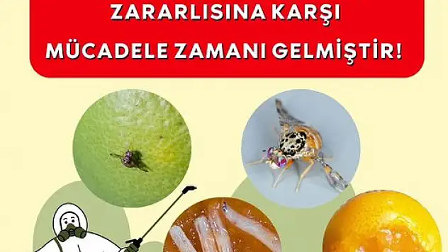 Ödemiş İlçe Tarım ve Orman Müdürlüğü uyardı