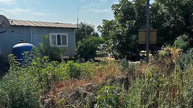 Ödemiş'te Aile Dramı: Babasını Baltayla Yaralayıp İntihar Etti