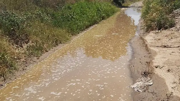 Ödemiş Umurbey'de Su Taşkını Krizi: Kontrolsüz Sulama Mahalleliyi Canından Bezdirdi