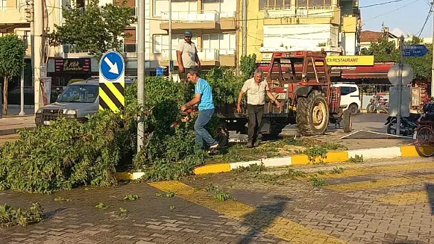 Ödemiş’te yağmur ve kuvvetli rüzgar nedeniyle ağaçlar devrildi