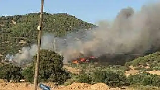 Ödemiş’teki orman yangını kontrol altında