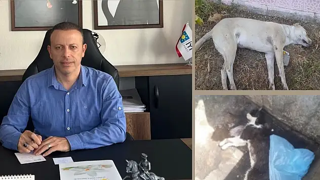 “Onların da yaşama hakkı var, failler ortaya çıkarılsın”