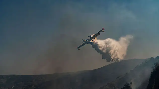Orman yangınları nedeniyle 4 kişi öldü