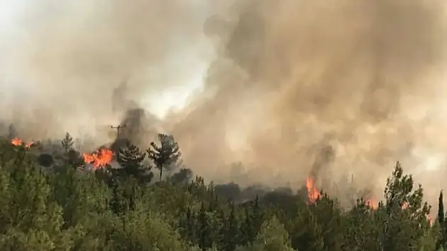 ORMAN YANGINLARININ ARDINDAN HUKUKİ SÜREÇ BAŞLADI: ESM'DEN ELEKTRİK ŞİRKETLERİNE SUÇ DUYURUSU