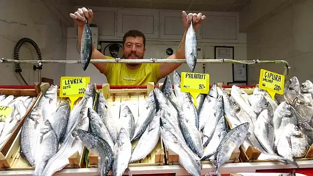 (Özel) Sezonun ilk palamutları tezgahta…Fiyatıyla yüzleri güldürdü