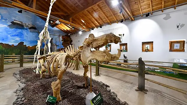 Pak Bahadır’ın iskeleti ziyaretçileri bekliyor