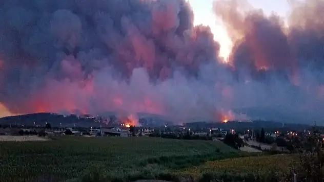 Şarköy'de Orman Yangını Alarmı: Alevler Gelibolu'ya Ulaştı, Mahalleler Boşaltıldı