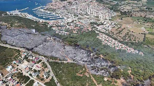 Seferihisar'da Yangın Felaketi: Doğankent Sitesi'nde 85 Ev Kül Oldu
