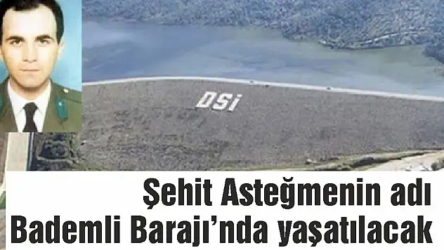 Şehit Asteğmenin adı  Bademli Barajı'nda yaşatılacak
