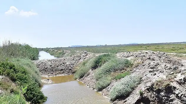 Sivrisinekle mücadelede son nokta ‘Drone’