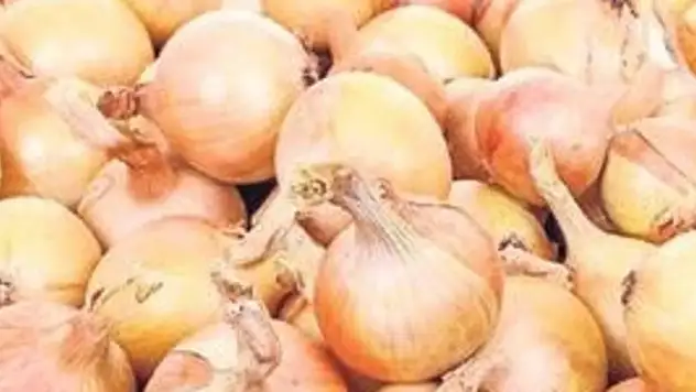 Soğan fiyatları 8 liraya kadar geriledi