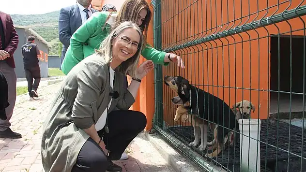 Sokaktaki can dostlara için 2 müjde