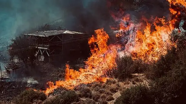SON DAKİKA | Ödemiş'teki orman yangınında acı kayıp: Dozer operatörü İbrahim Demir şehit oldu