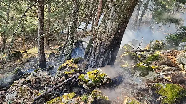 Spil Dağı’na düşen yıldırım orman yangını çıkardı