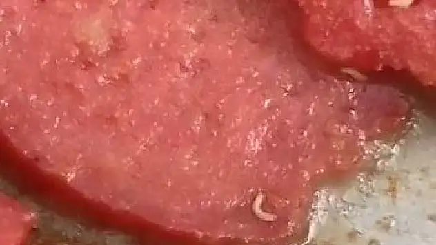 Sucuktan ne çıktı?