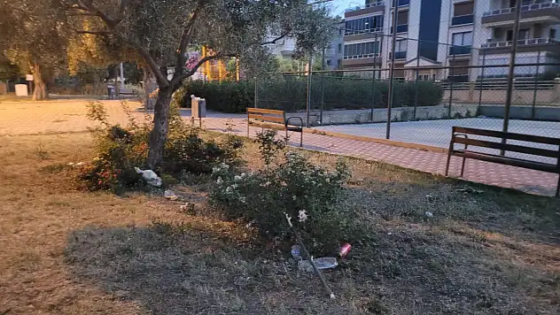 Süleyman Demirel Mahallesi'nde Gürültü ve Alkol Şikâyeti: Site Sakinleri Rahatsız