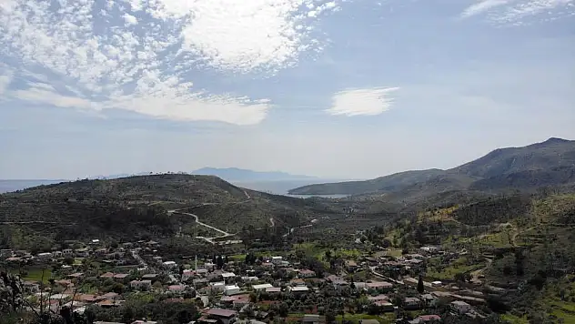 Tarihi yangının ardından yeşillenmeye başladı