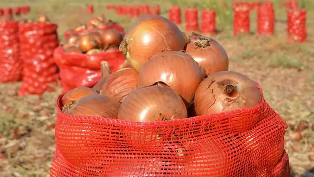 Tarım ve Orman Bakanlığı’ndan ‘kuru soğan’ açıklaması