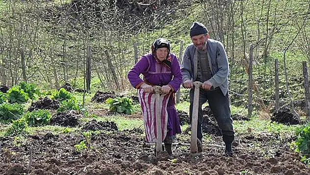 Tarımda genç nüfus çok az