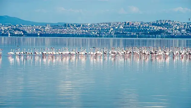 Temiz körfez için tarihi adımlar İZSU’dan