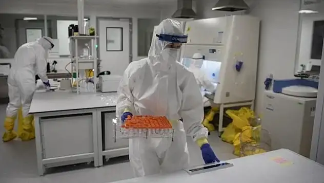 Temizlikçi fişi çekti, 20 yıllık araştırma çöp oldu