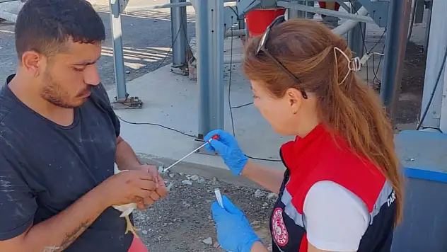 Tire'de Hayvan Sağlığı İçin Saha Çalışmaları Sürüyor