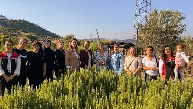 Tire'de Kadın Üreticiye Ziyaret: Aromatik Bitkilerde Eğitim ve İnceleme