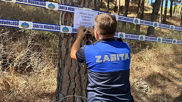 Tire'de Orman Yangınlarına Karşı Sıkı Tedbir