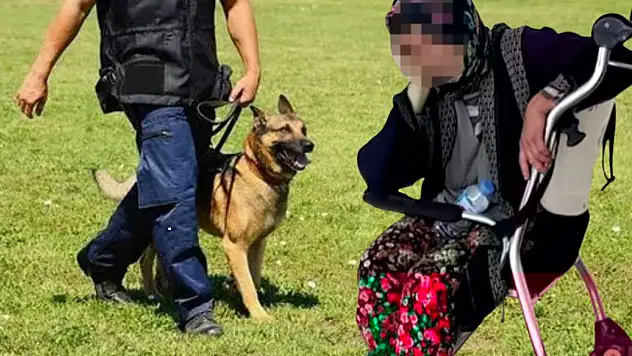 Tire'de Sarılar Köyüne Gömüldüğü İddia Edilen Bebek İçin Kadavra Köpekleriyle Arama