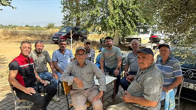 Tire İlçe Tarım'dan Arıcılara Yerinde Ziyaret ve Kovan Tespiti
