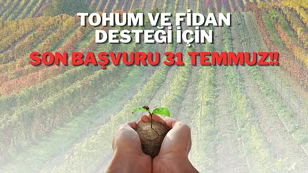 Tohum ve Fidan Desteği İçin Son Gün 31 Temmuz: Üreticilere Başvuru Uyarısı