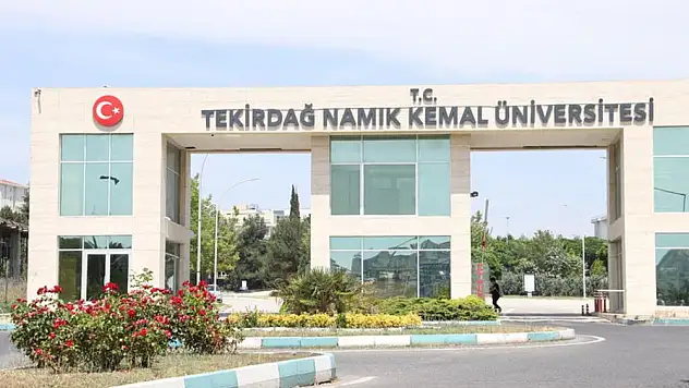 Üniversitede yetiştirilen  koyunlar satışta