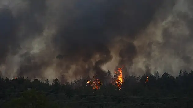 Urla'da Orman Yangını Gece Saatlerinde Kontrol Altına Alındı