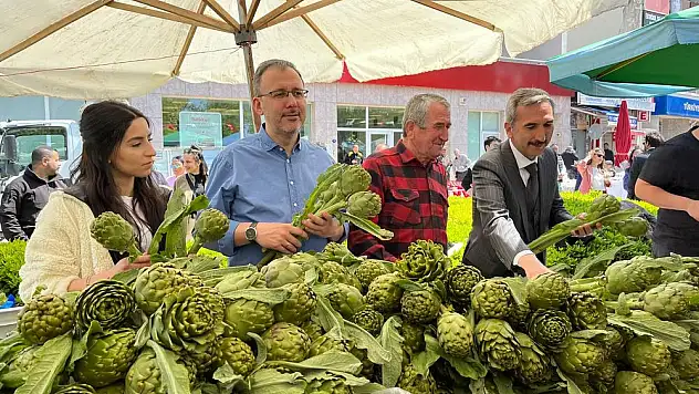 ‘Urla Enginar Günleri’ başlıyor