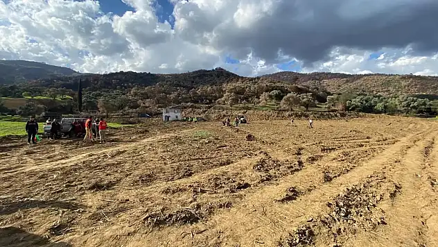 Üzümlü Mahallesi'nde Yangın Sonrası Fidan Dikimiyle Doğa Yeniden Hayat Buluyor