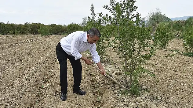 Vekil adayı elinde çapayla, indiği tarladan üreticiye söz verdi
