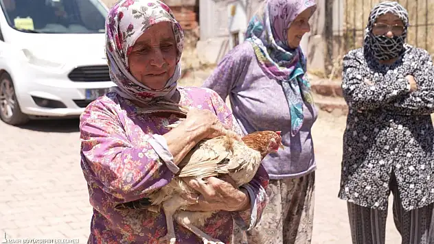 Yangının Ortasında Umut: Seferihisar'da Hayvanlar Kurtarıldı, Seher Teyze Yalnız Kalmadı
