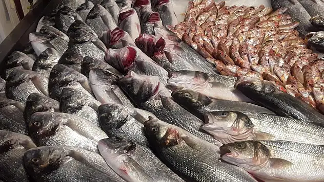 Yasak Sonrası Balık Fiyatları Arttı