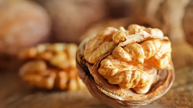 Yerli cevizde verim arttırılmalı