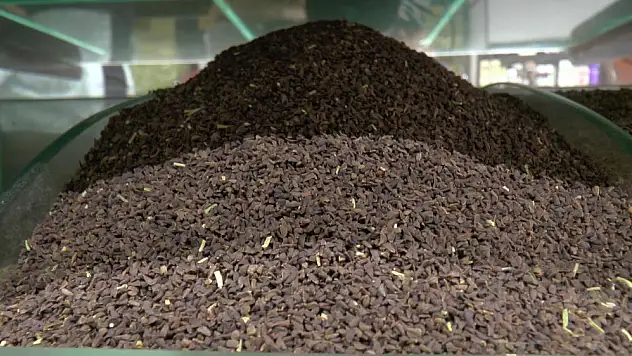 ‘Zencefil hayatımızın bir parçası olmalı’