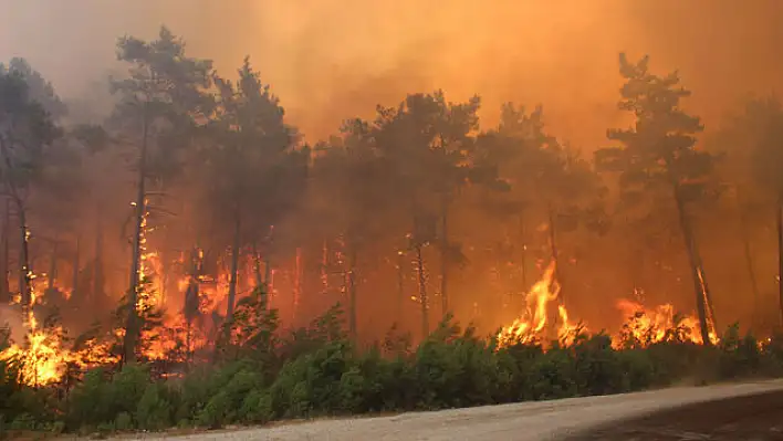 20 gün mangal yakmayın, restoranda yiyin