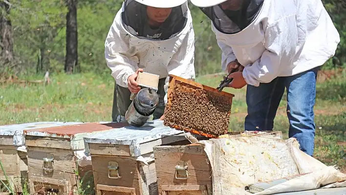 20 yıldır arıcılık yapan ‘Arıların Annesi’