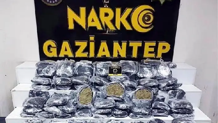 51 kilogram skunk ele geçirildi