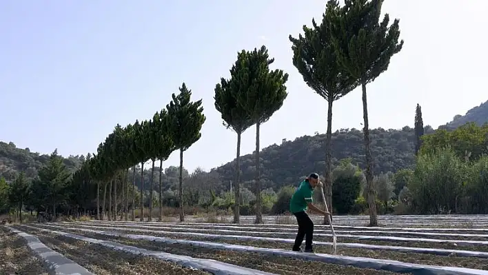 Adabahçe'de kış hazırlıkları başladı