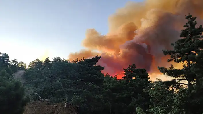 Adana'da orman yangını