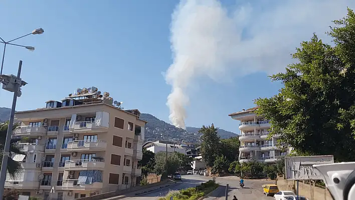 Alanya'da orman yangını kontrol altına alındı