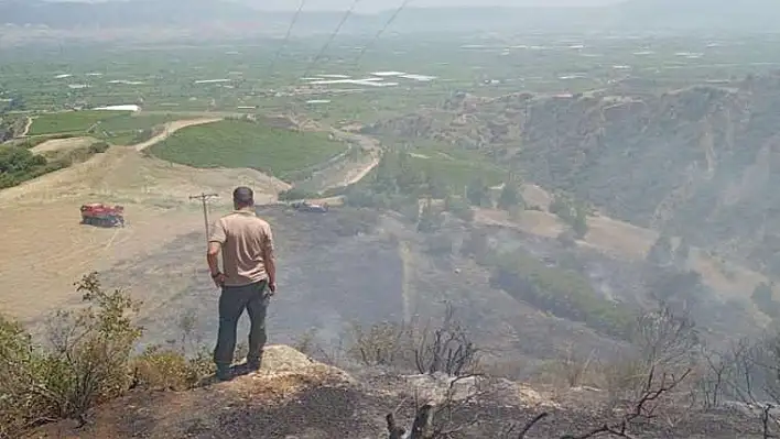 Alaşehir’deki makilik alanda yangın